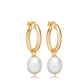 Gold Aphrodite Single Pearl Hoop Earrings